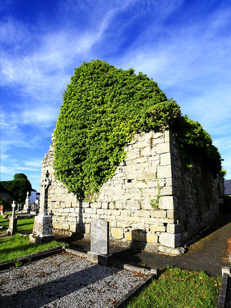 Clondra Abbey