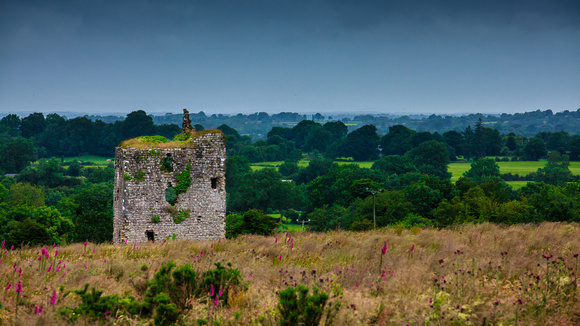 Moydow Castle